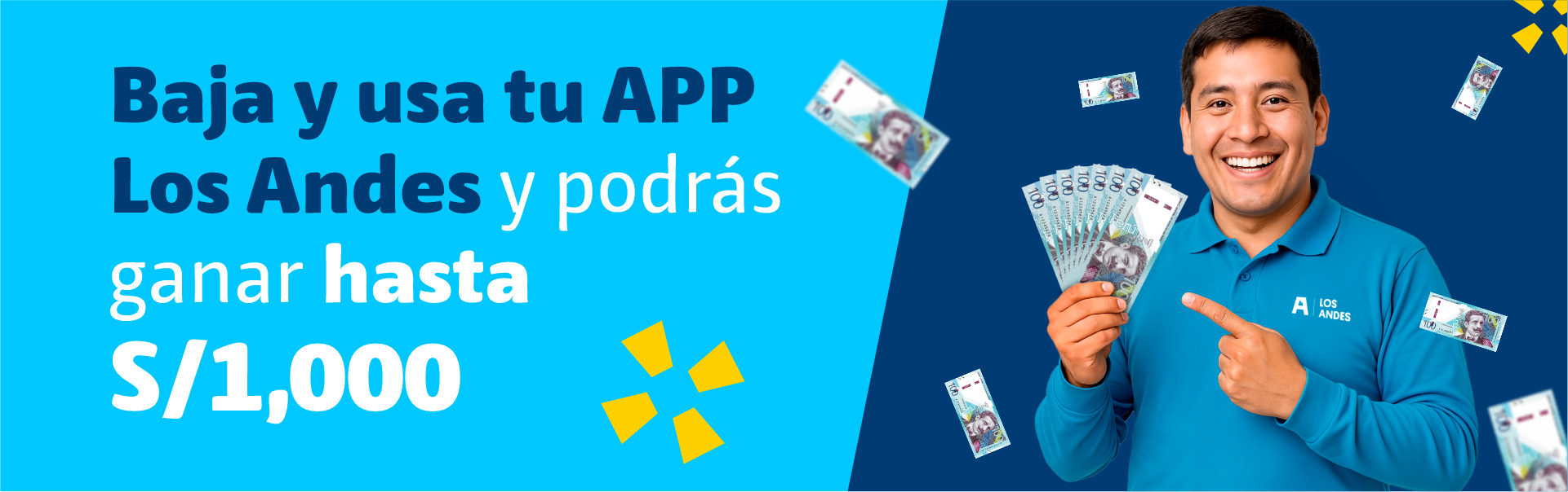 App Home baner interna
