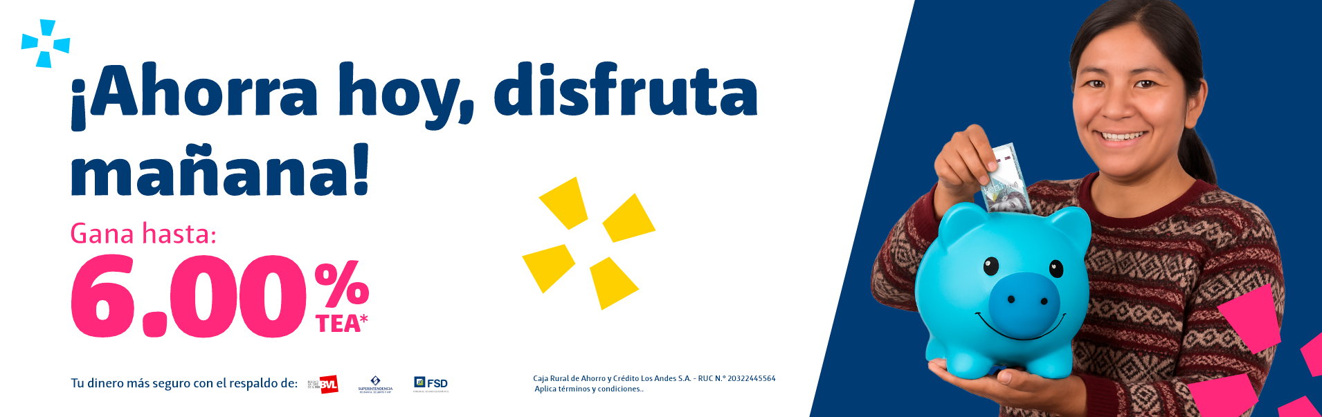 Home banner interno DPF