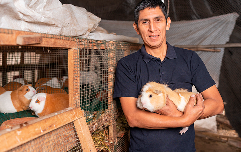 ¿Qué saber antes de solicitar un crédito en Perú?